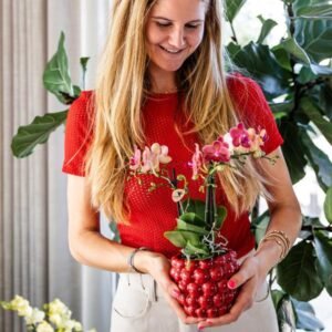 Phalaenopsis ‘Congo’ – Rode orchidee – Ø9 cm